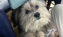 Featured image of post Bye Bye 2024!